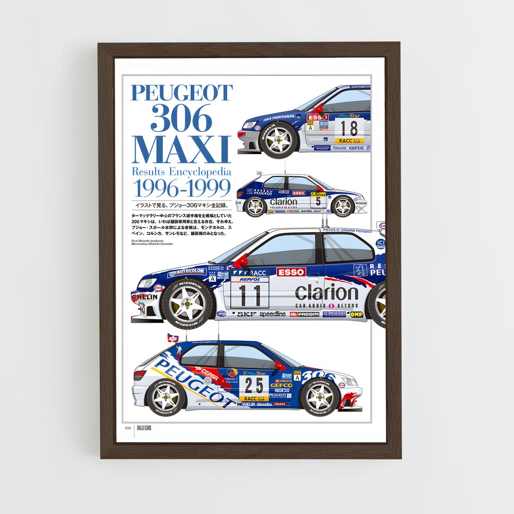 Poster Peugeot 80 Rallye (vue 5)
